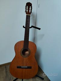 Chitarra acustica Ariana AK-60