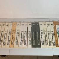 Lotto GUIDE PRATICHE ALLA PITTURA 22 Volumi edizio