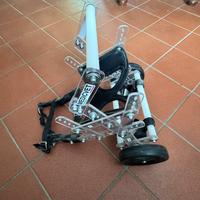 Carellino per cane con disabilita’ arti posteriori