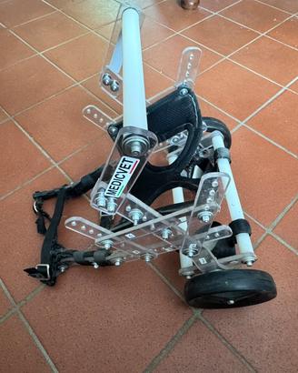 Carellino per cane con disabilita’ arti posteriori