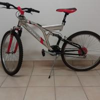 MOUNTAIN BIKE RAMPICHINO