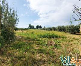 Terreno Agricolo - Fondi