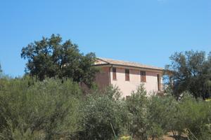 Grazioso appartamento vicino al mare