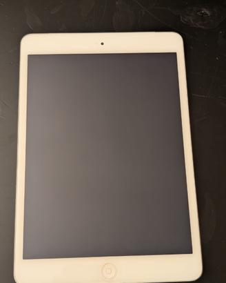 iPad mini 2