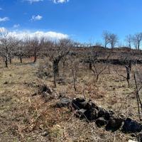 Terreno - Biancavilla