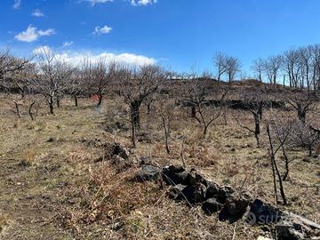 Terreno - Biancavilla