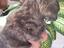 Immagine 5