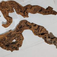 radici originali per acquario