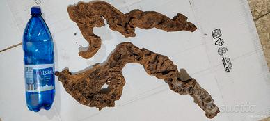 radici originali per acquario