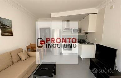 Bilocale peschiera borromeo