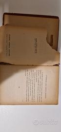 dizionario di sinonimi e Contrari da restauro 