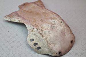 PARAMOTORE PROTEZIONE BETA RR 525 2009 2008 450 40