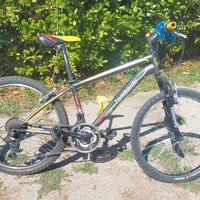 Mountain bike ragazzo (ruota 40-65) 6x3 velocità i