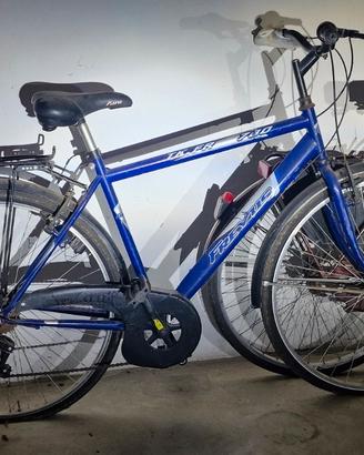 Bicicletta Freyus  TK FR 780