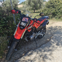 Honda FMX 650