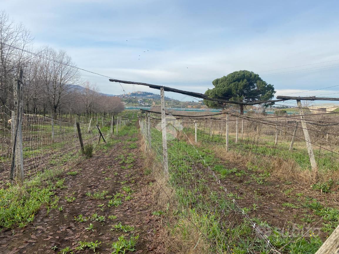 TER. AGRICOLO A SAN CESAREO - Vista 4
