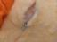 Immagine 3