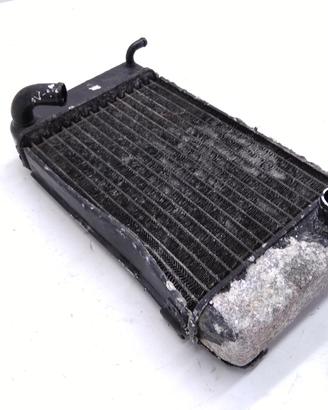 HONDA TRANSALP XL V 650 RADIATORE CON AMMACCATURA 