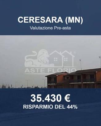 Immobile in asta di 1048 m² a Ceresara