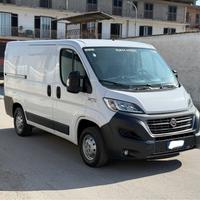 Ducato 2.3 mjt e6 frigo corto t basso no atp 2017