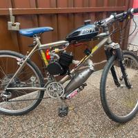Bici Mountain bike motorizzata