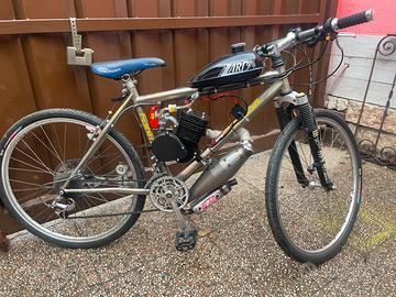 Bici Mountain bike motorizzata