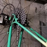 Bicicletta mountain bike