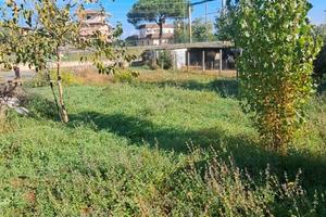 Terreno con tutti i servizi