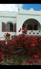 Casa indipendente in Costa Verde