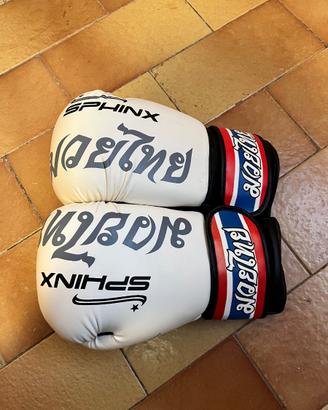 Guantoni da boxe