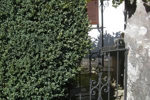 Alzo di Pella