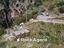 Immagine 26