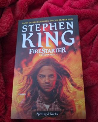libro: l'incendiaria 