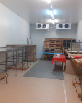 Cella Frigo Industriale