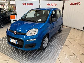 Fiat Panda 1.0 FireFly S&S Hybrid Pandina Icon