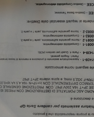 Quadro elettrico da cantiere