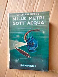 Mille metri sott'acqua - William Beebe