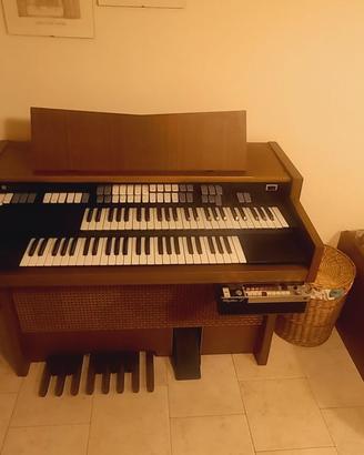 ORGANO HAMMOND