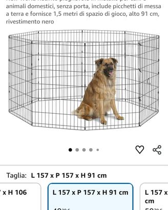 recinto per cani