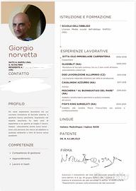 Disponibile da subito