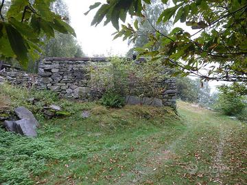 Rustico/Casale/Corte Varzo [AlpeDaiA0123VRG]