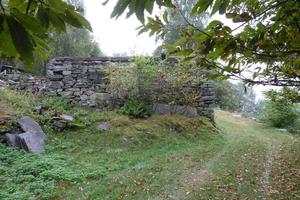 Rustico/Casale/Corte Varzo [AlpeDaiA0123VRG]