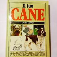 Il tuo cane David Taylor