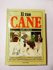 Il tuo cane David Taylor
