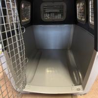 Trasporto per cane