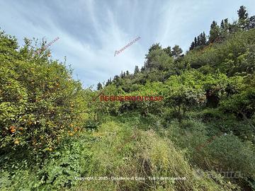 Terreno, Lascari.