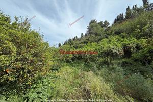 Terreno, Lascari.