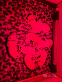 Cuccioli dalmata con pedigree