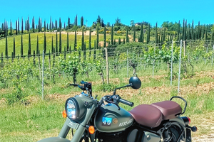 Royal Enfield Classic 350 Signal Marsh all