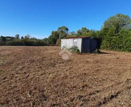 TER. AGRICOLO A LADISPOLI